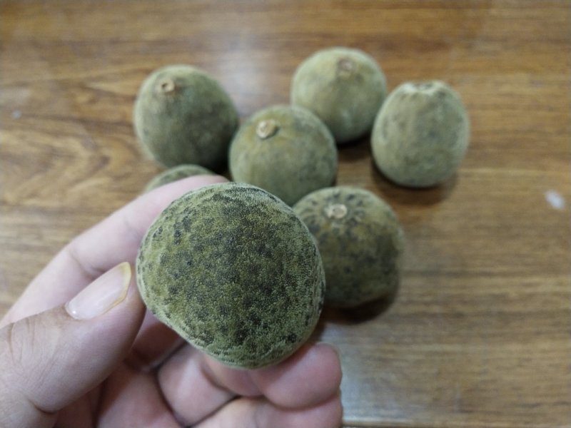 正宗金毛化橘红，不怕货比货，就怕不识货。