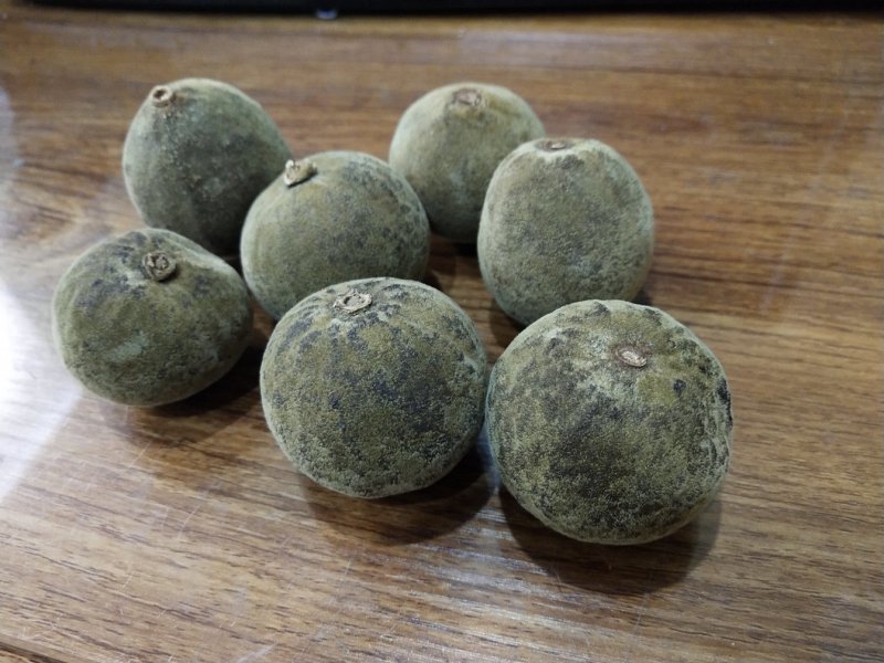正宗金毛化橘红，不怕货比货，就怕不识货。