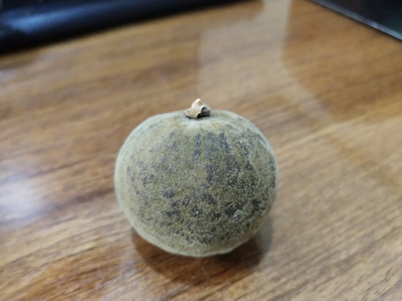 正宗金毛化橘红，不怕货比货，就怕不识货。