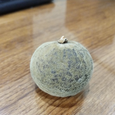 正宗金毛化橘红，不怕货比货，就怕不识货。