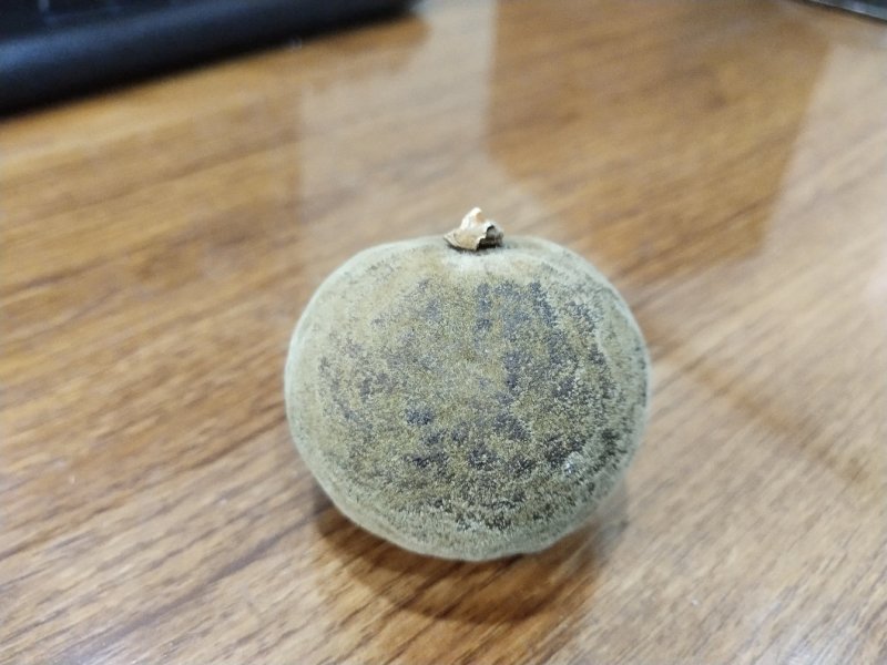 正宗金毛化橘红，不怕货比货，就怕不识货。