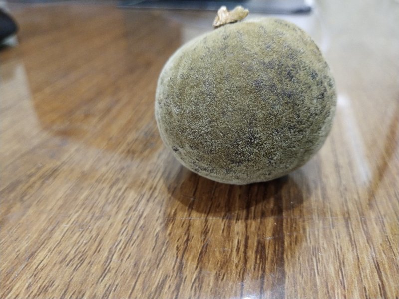 正宗金毛化橘红，不怕货比货，就怕不识货。