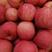 洛川红富士苹果大量出库，规格齐全，提供一条龙服务。
