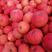 洛川红富士苹果大量出库，规格齐全，提供一条龙服务。