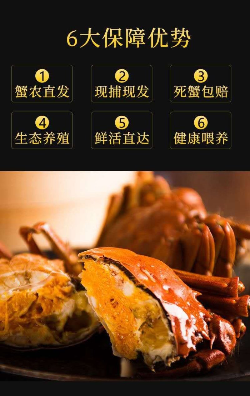 兴化大闸蟹无为大闸蟹蟹鲜活满黄满膏物美价优现货供应