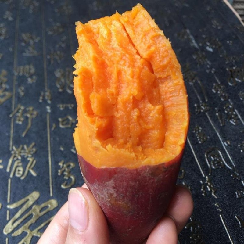 西瓜红红薯