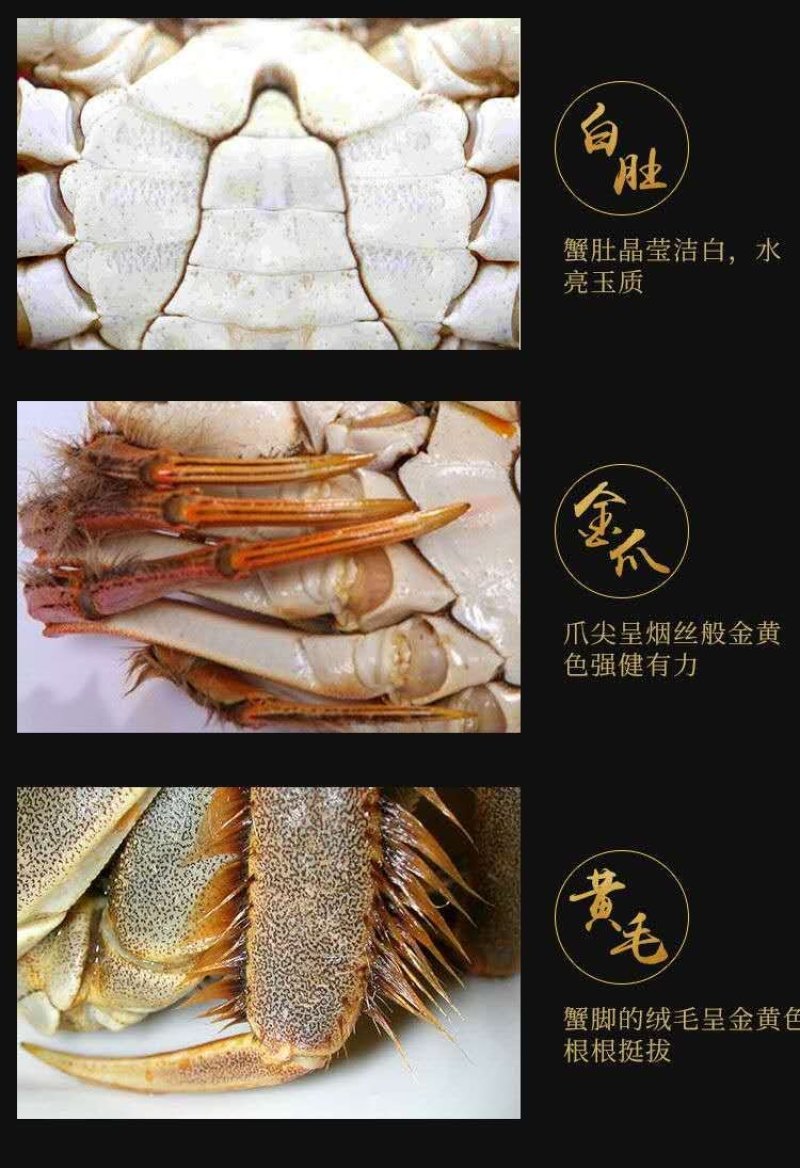 聚便宜无为大闸蟹兴化大闸蟹蟹鲜活一件包邮代发
