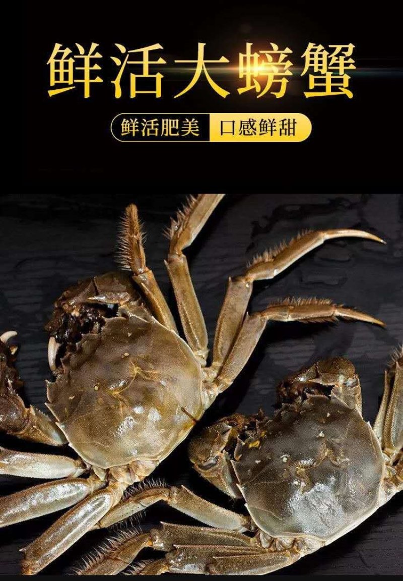 聚便宜无为大闸蟹兴化大闸蟹蟹鲜活一件包邮代发