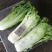 长白菜