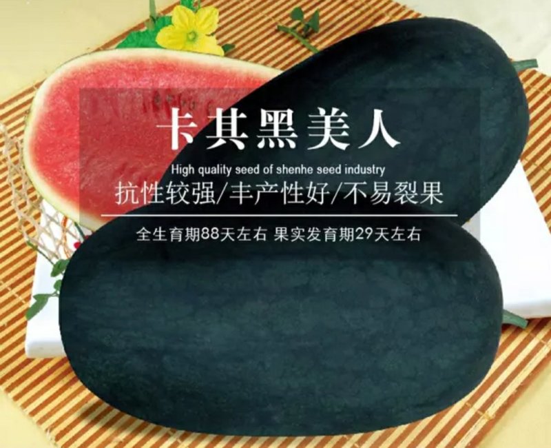 黑美人超甜礼品西瓜种子