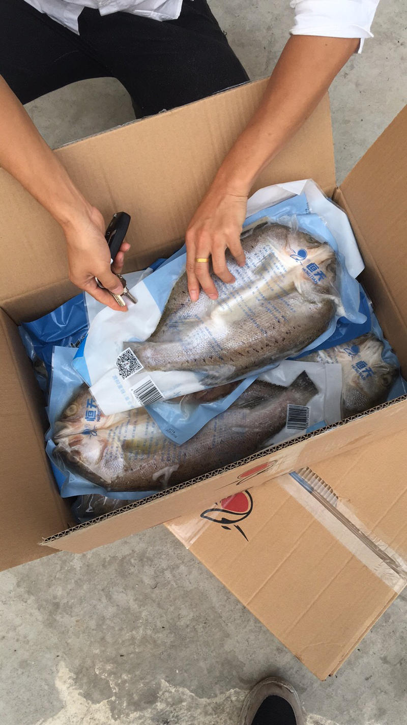 350-600克开背白蕉海鲈鱼真空包装肉嫩滑弹牙
