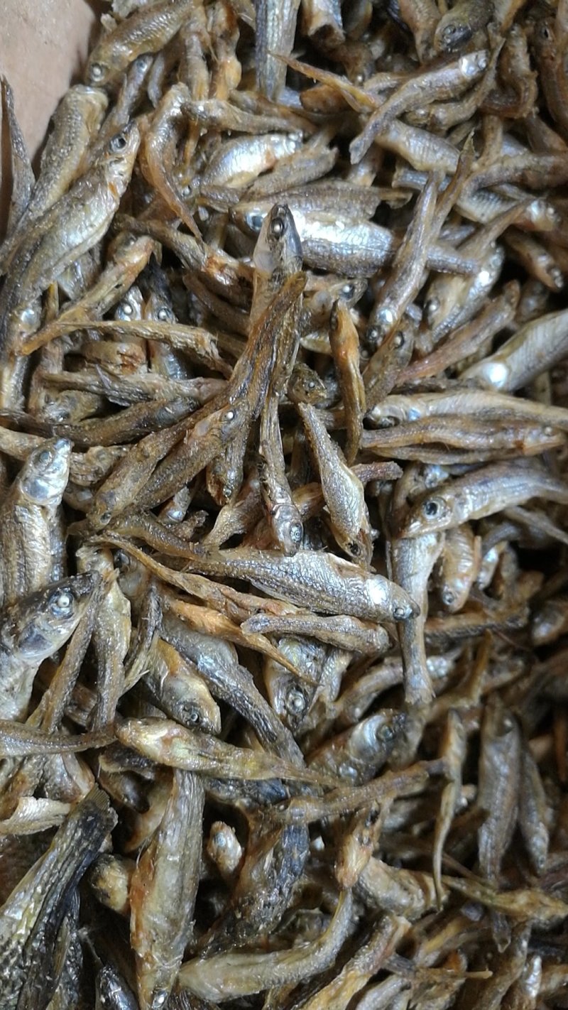 淡水小鱼干5厘米左右，淡盐水煮干水质非常好，