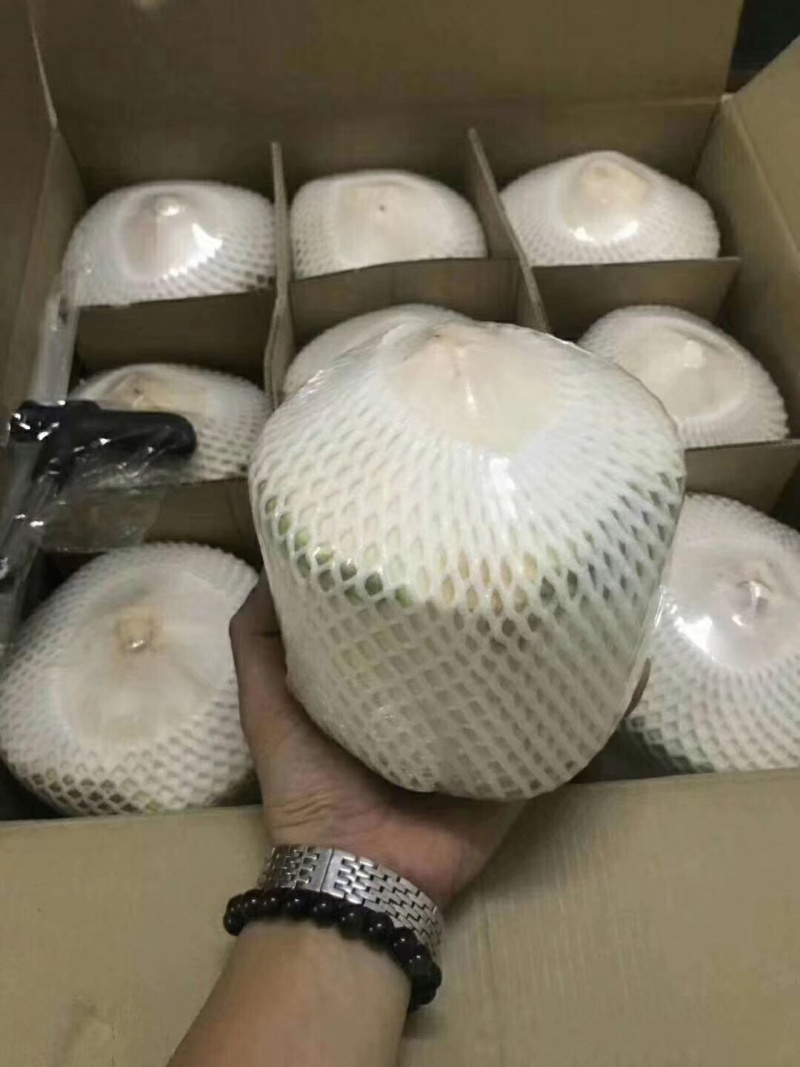 海南椰青顺丰包邮
