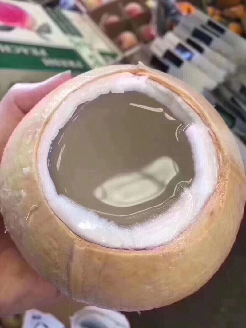 海南椰青顺丰包邮