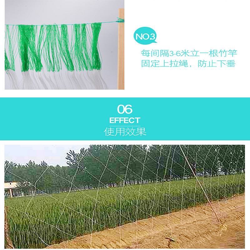 厂家直销植物攀爬网豆角爬藤网瓜丝瓜苦瓜网