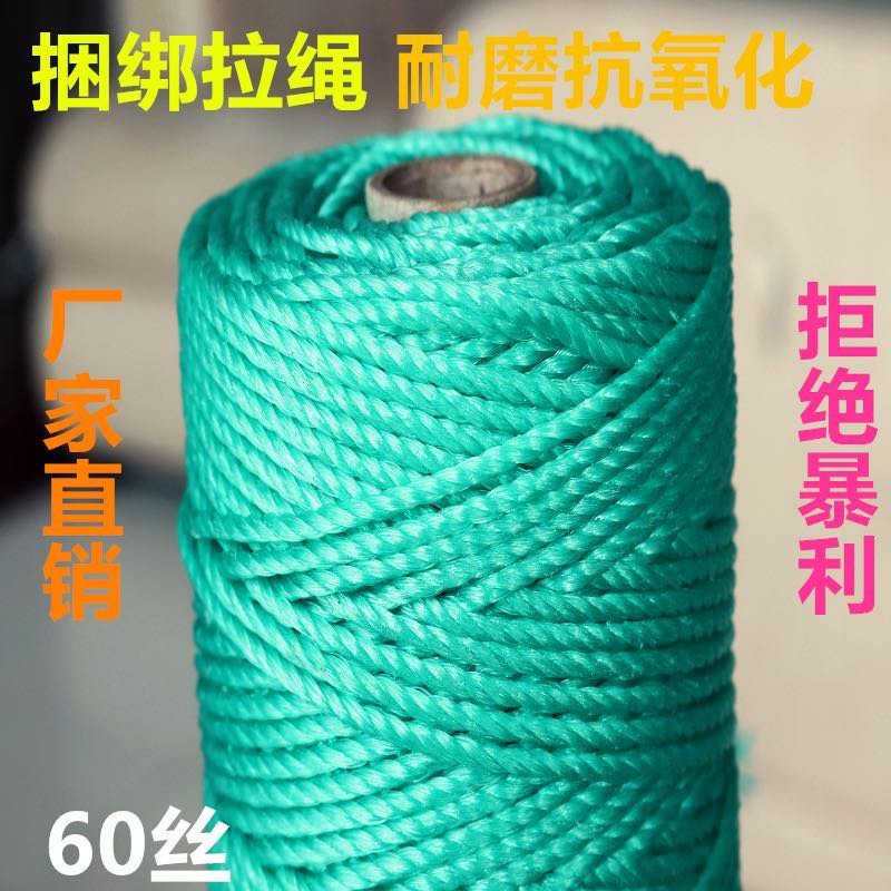 厂家直销植物攀爬网豆角爬藤网瓜丝瓜苦瓜网