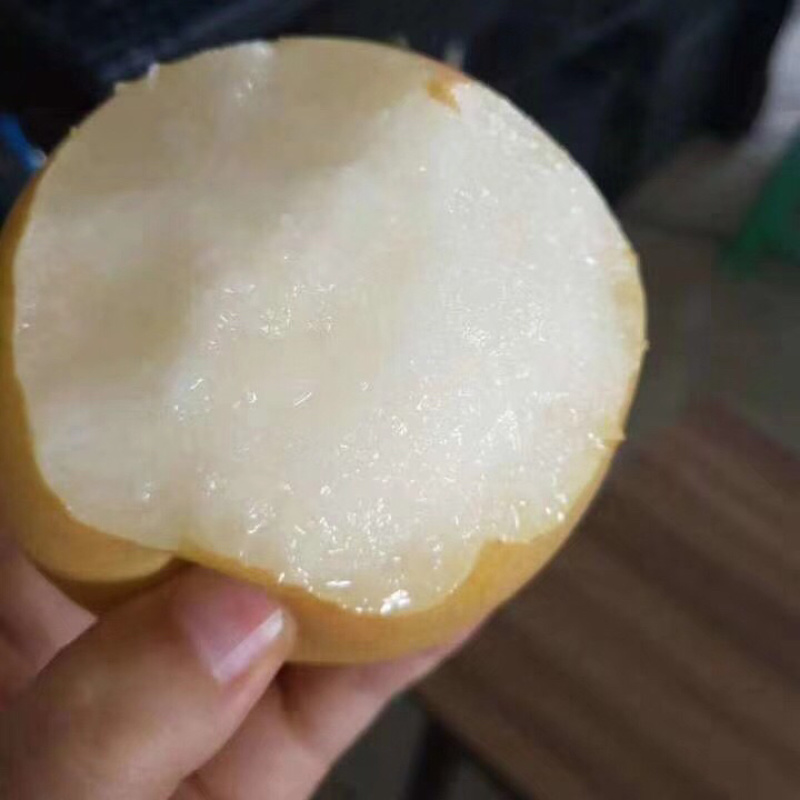 秋月梨顺丰包邮
