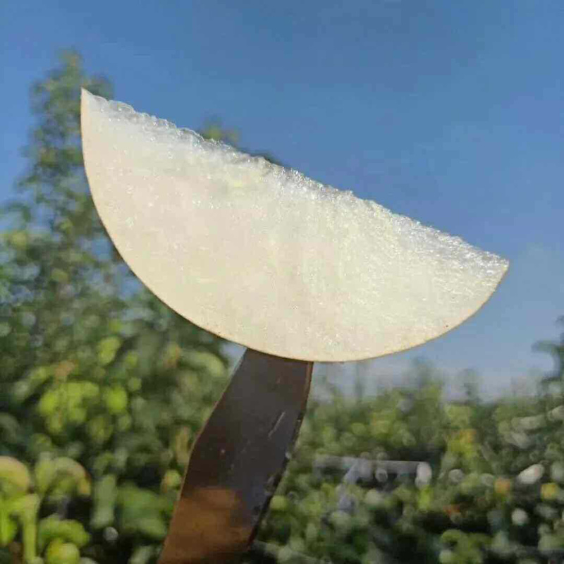 秋月梨顺丰包邮