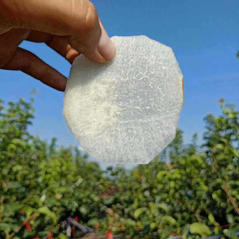 秋月梨顺丰包邮
