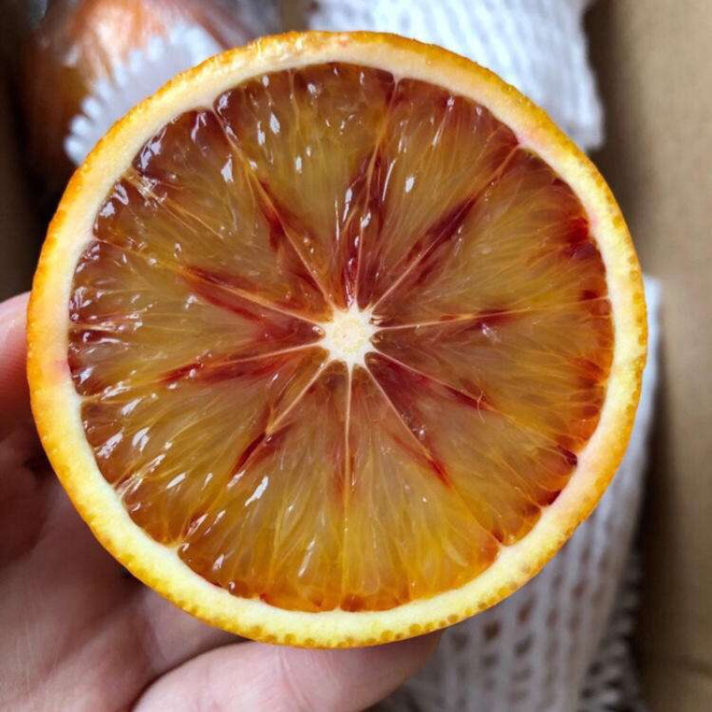 塔罗科血橙顺丰包邮