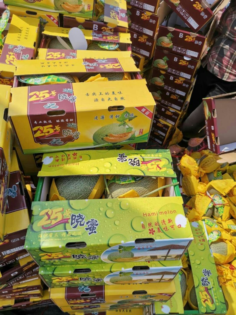 海南小蜜25号哈密瓜西周蜜网纹玫珑瓜长香玉黄金瓜