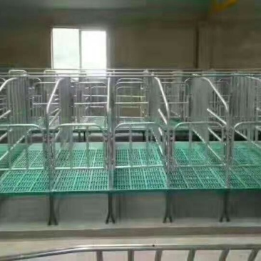 母猪产床定位栏限位栏高培产子栏大量供应