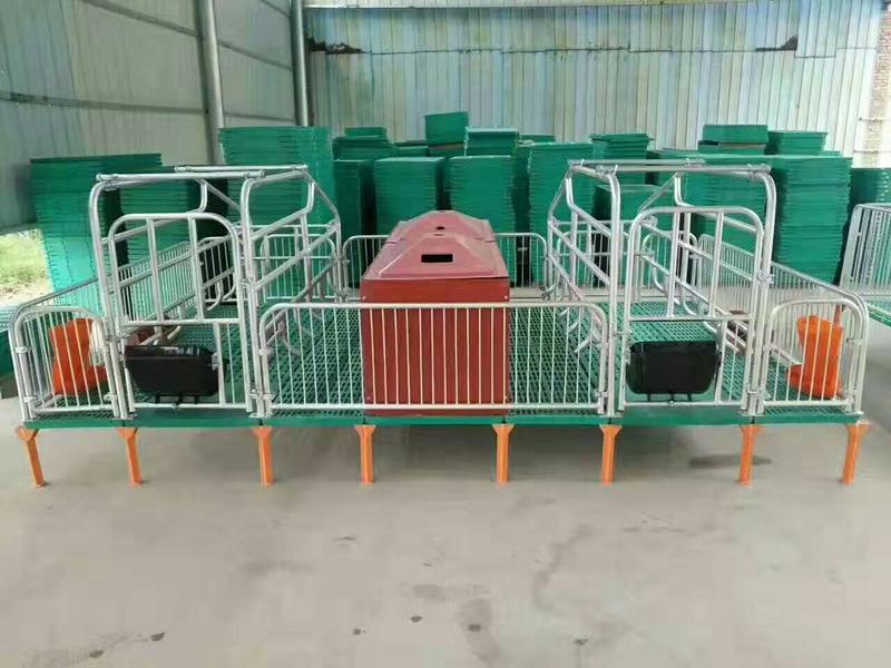 供应新型母猪产床定位栏限位栏高培产子栏厂家直销