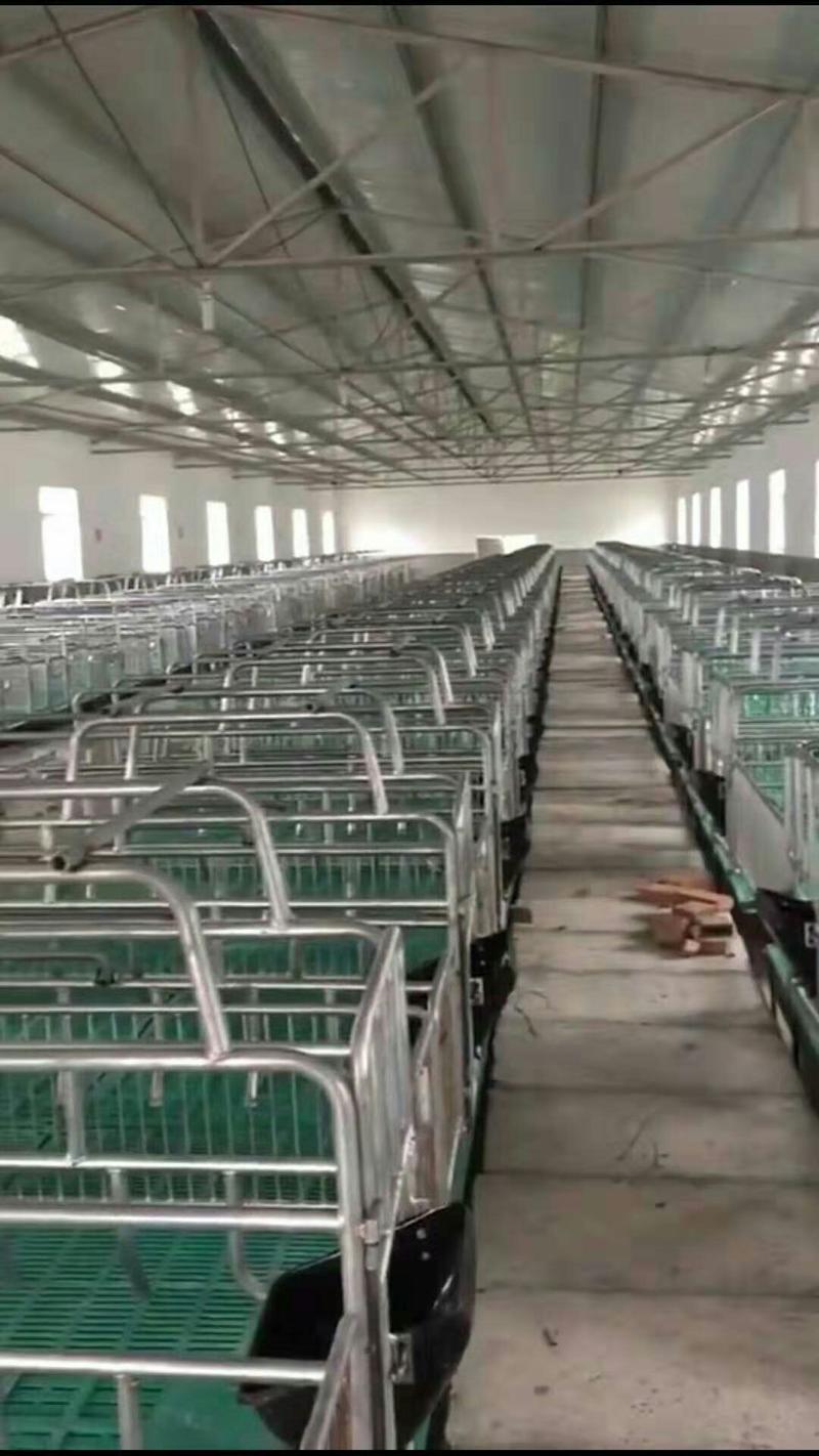 供应新型母猪产床定位栏限位栏高培产子栏厂家直销