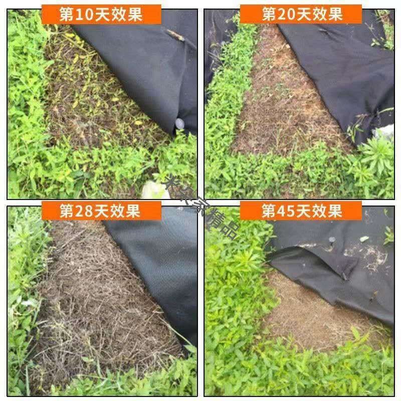 打孔防草布园艺地布除草保湿透气透水抗爆晒无毒气促高产