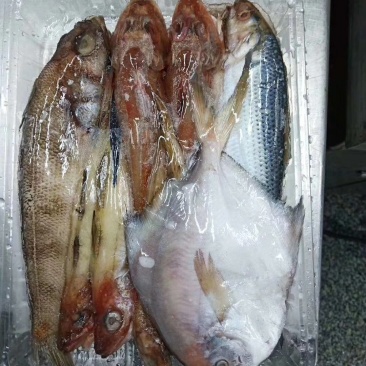海杂鱼，漂亮的，处理去干净的三去鱼。。。。