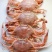扁蟹肉蟹来自大海肉质紧实鲜甜弹牙