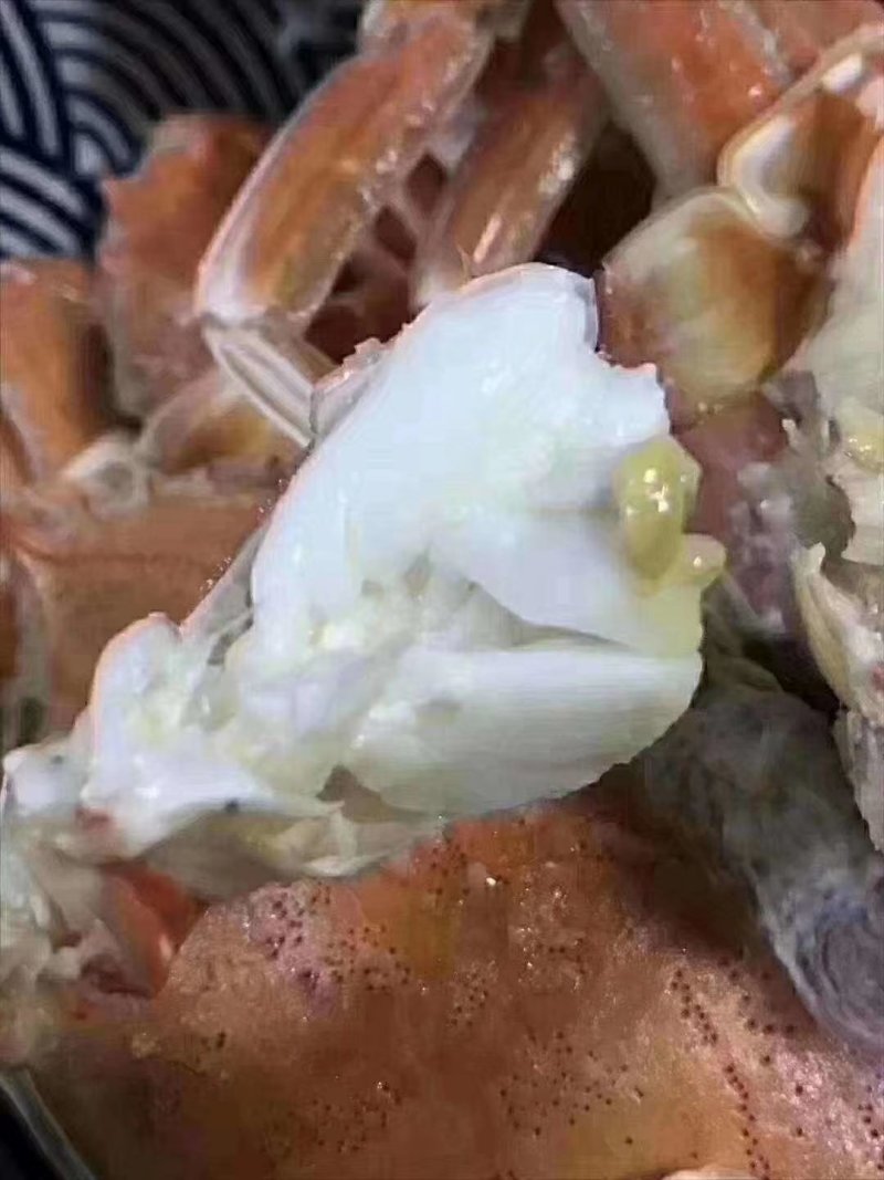 扁蟹肉蟹来自大海肉质紧实鲜甜弹牙