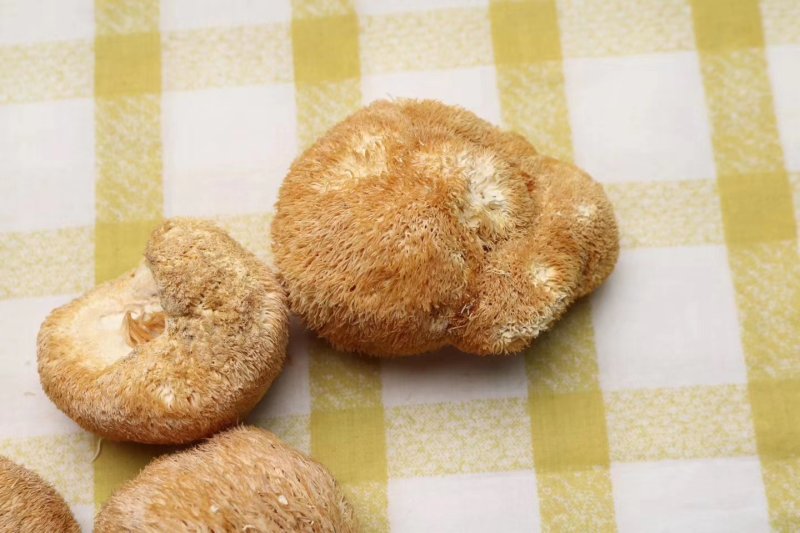 直批中小号猴头菇4-6公分干度好干净漂亮味道浓
