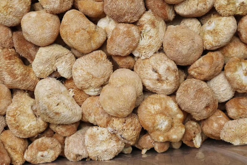 直批中小号猴头菇4-6公分干度好干净漂亮味道浓