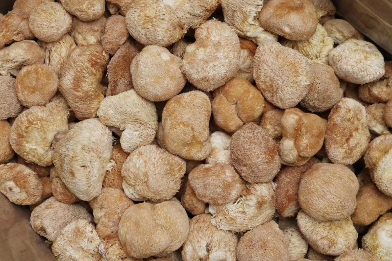 直批中小号猴头菇4-6公分干度好干净漂亮味道浓
