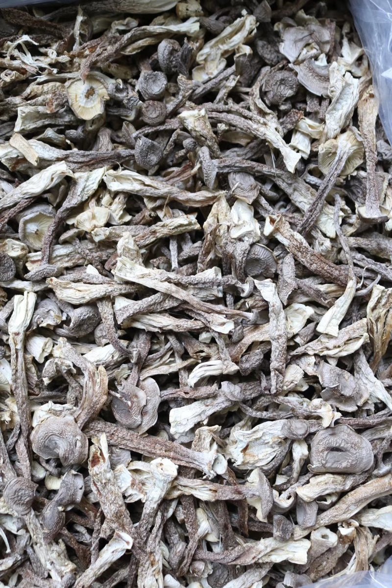 直销特级鹿茸菇1斤装干度足干香味浓郁精选货