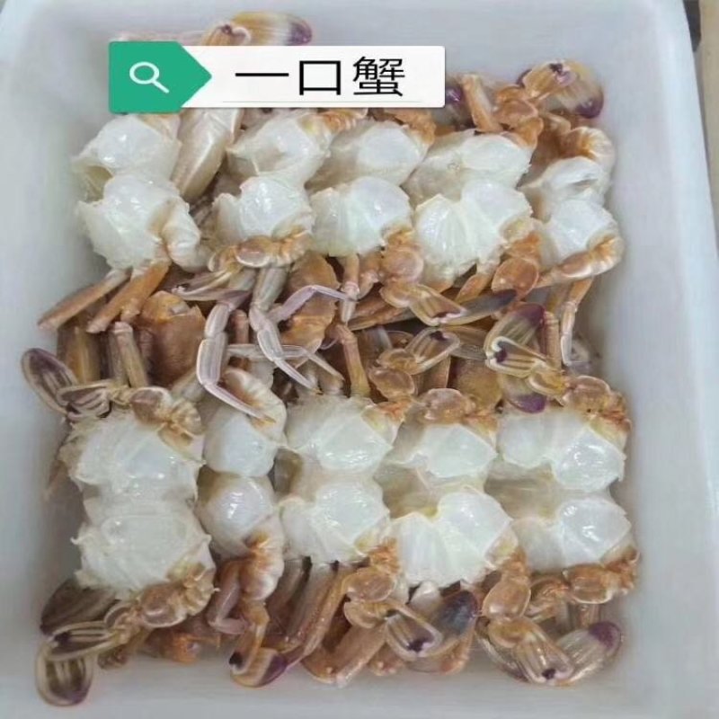 扁蟹排冻去壳扁蟹蟹肉饱满鲜嫩香甜