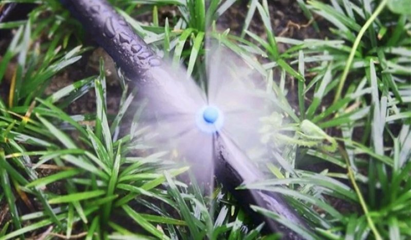 微喷头大棚果树微喷顶帽雾化微喷头