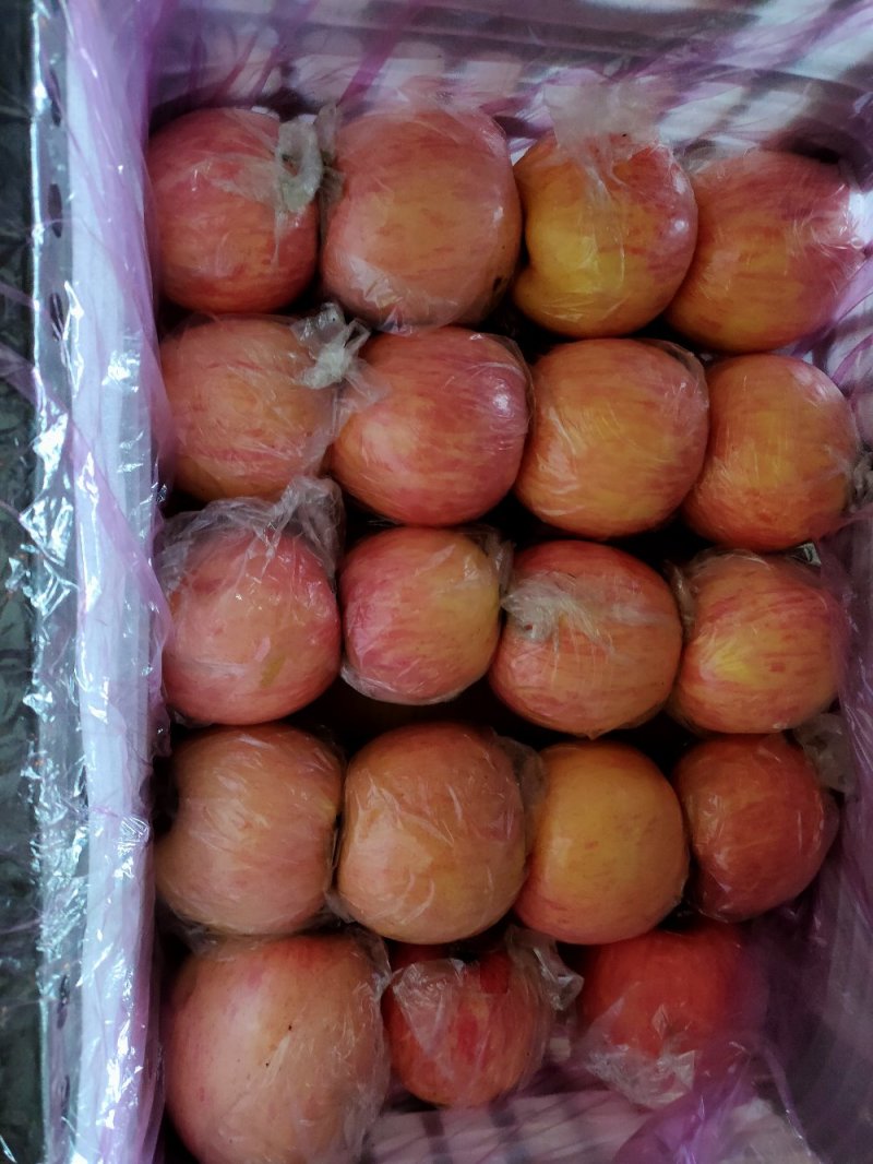 【现货直发】山西万荣纸加膜苹果红富士苹果量大价优
