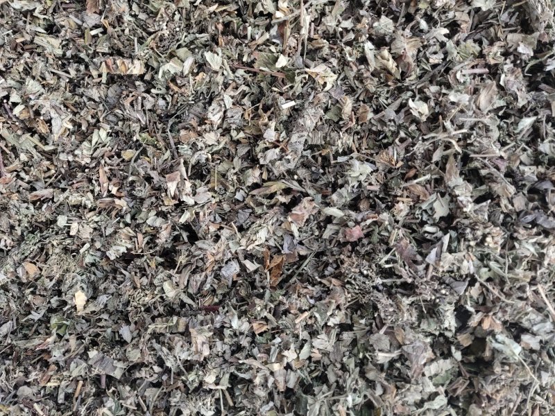 艾叶，品质保证，大量有货，欢迎大家来电咨询