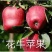 果树苗批发花牛苹果苗嫁接苹果树苗当年结果南方北方
