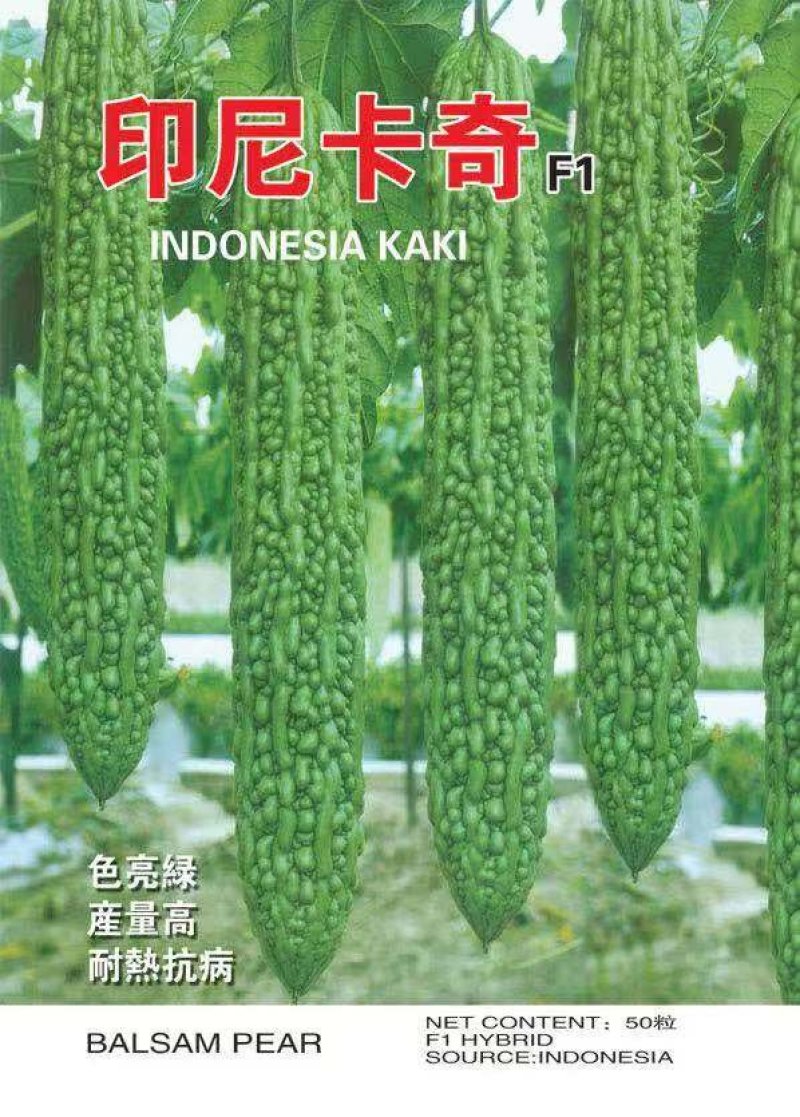 苦瓜种子，油亮型产量高，抗病强，颜色好结的多