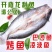 开背巴沙鱼巴沙鱼巴沙鱼柳龙利鱼