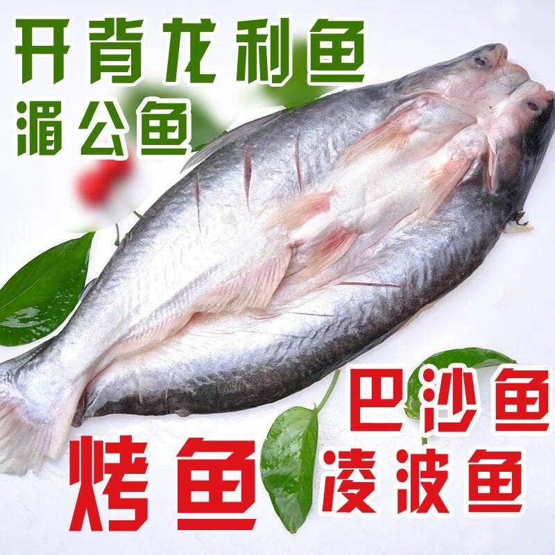 开背巴沙鱼巴沙鱼巴沙鱼柳龙利鱼