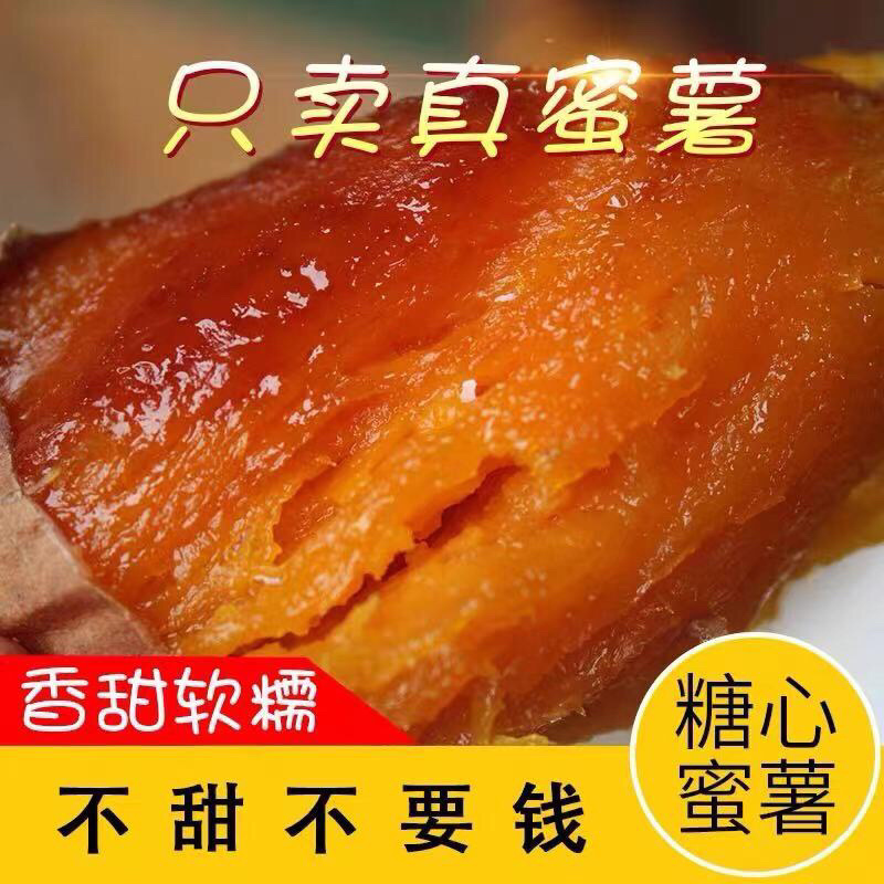 【精选红薯】烟薯小块，雄安红薯，烟薯25，大量供应