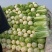 大量供应北京新三号白菜