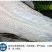 巴沙鱼巴沙鱼柳龙利鱼开背巴沙鱼越南巴沙鱼