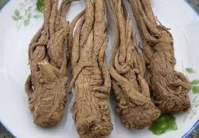 甘肃岷县原产地当归大量批发
