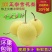 河北雪梨赵州雪花梨5斤10斤新鲜当季水果一件包邮