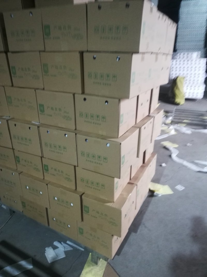 河北雪梨赵州雪花梨5斤10斤新鲜当季水果一件包邮